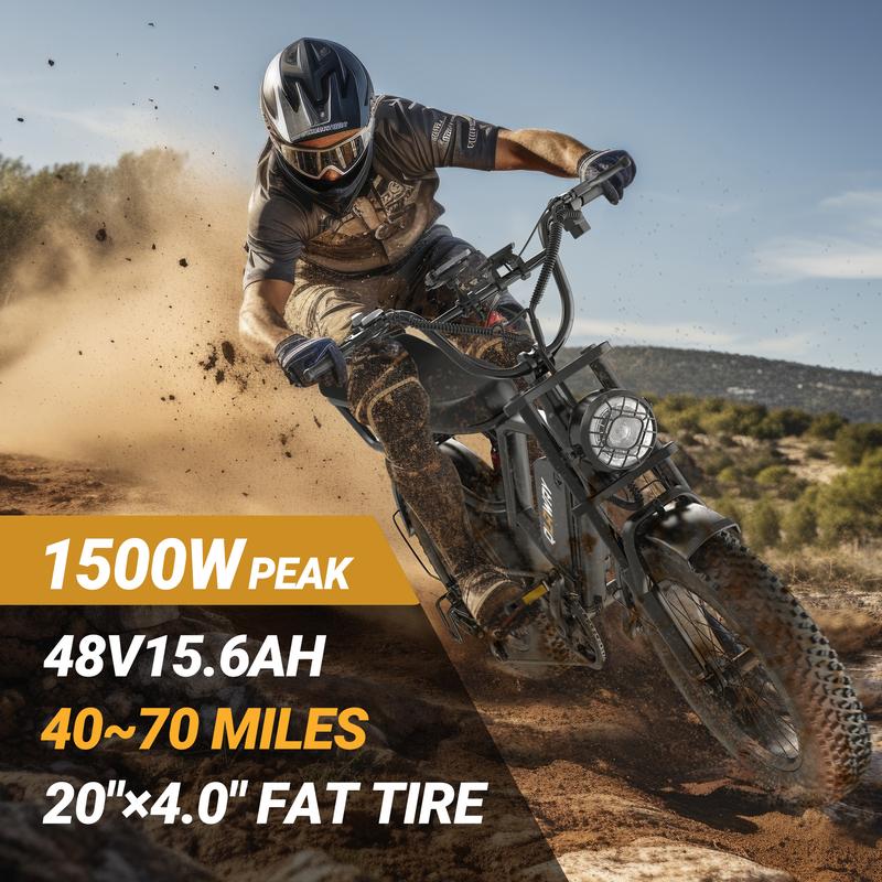 Electric Bike Peak Power 1500W