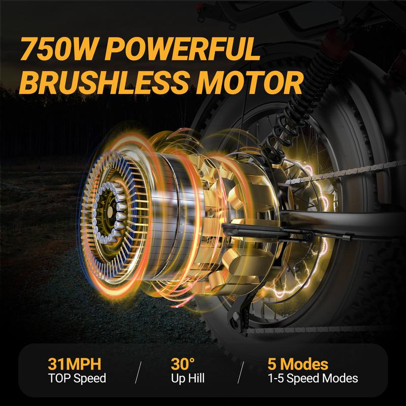 Electric Bike Peak Power 1500W